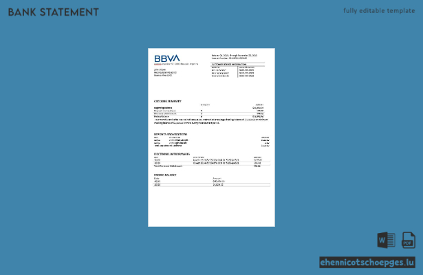Beispiel eines Kontoauszugs der BBVA-Bank in Argentinien (Vorschau)